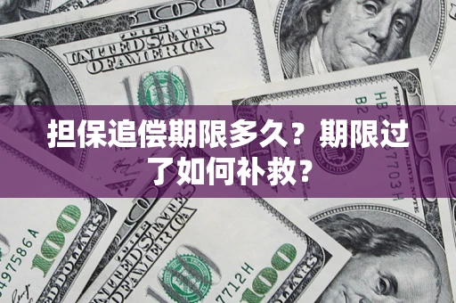 济南担保追偿期限多久？期限过了如何补救？