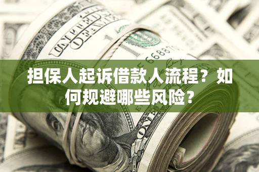 济南担保人起诉借款人流程？如何规避哪些风险？